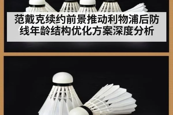 范戴克续约前景推动利物浦后防线年龄结构优化方案深度分析