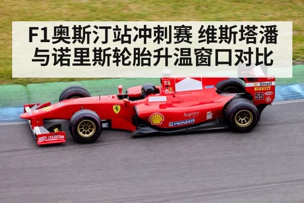 F1奥斯汀站冲刺赛 维斯塔潘与诺里斯轮胎升温窗口对比